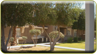 Winfield Terrace Apartments